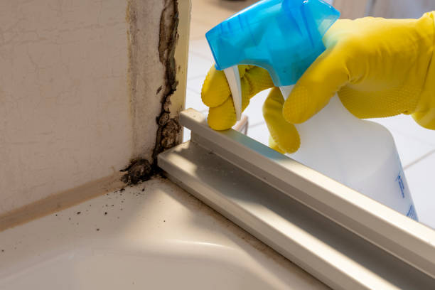 Best Mold Cleaning Services  in Preakness, NJ