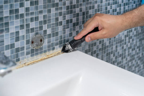 Best Mold Removal Company Near Me  in Preakness, NJ