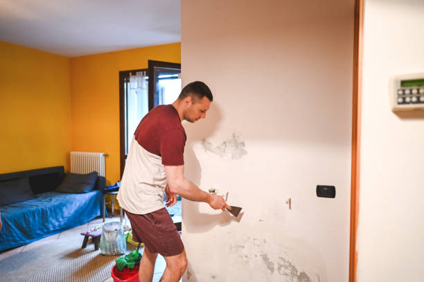 Crawl Space Mold Removal in Preakness, NJ